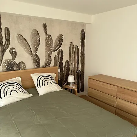 Elegante Maison De Renovee טולוז